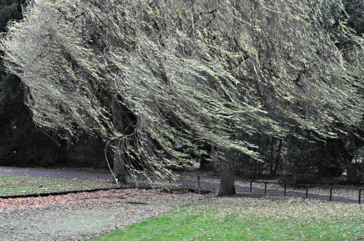 Hold on to your loved ones