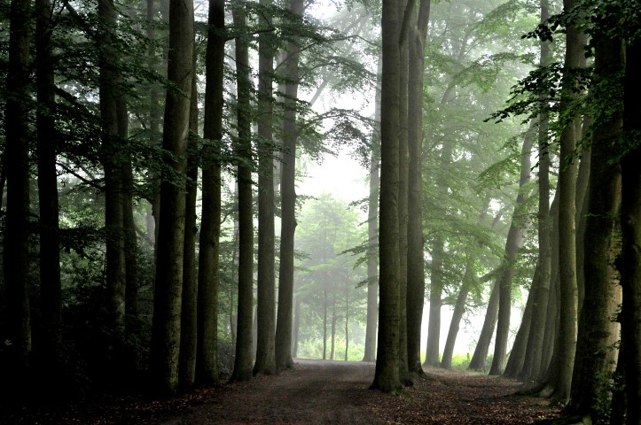 Bunch of presumptions