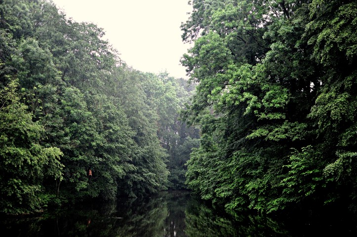 Don't find fault, find a remedy