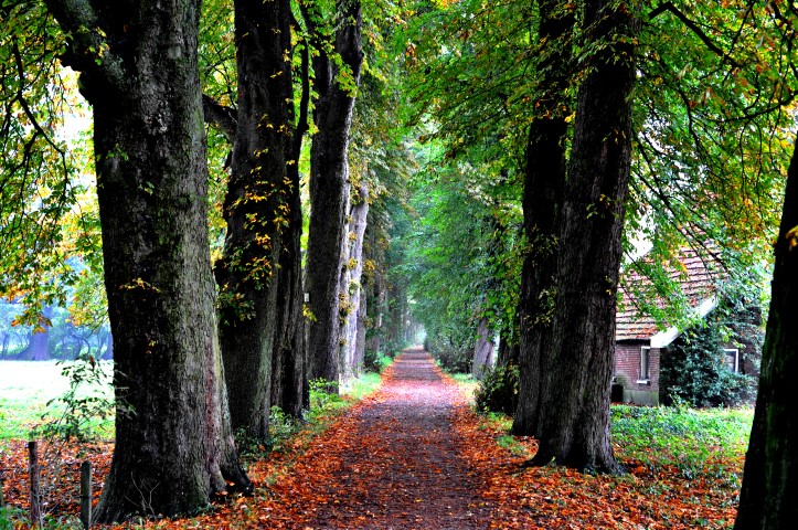 My straightforwards are twisted