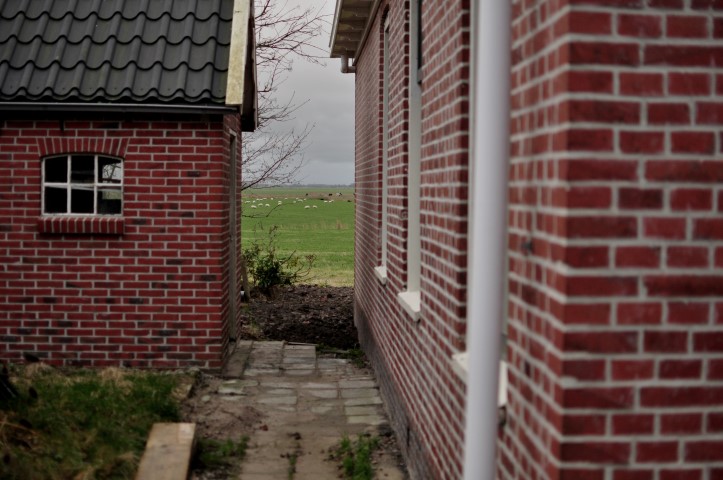 rottum.horizont (Small)